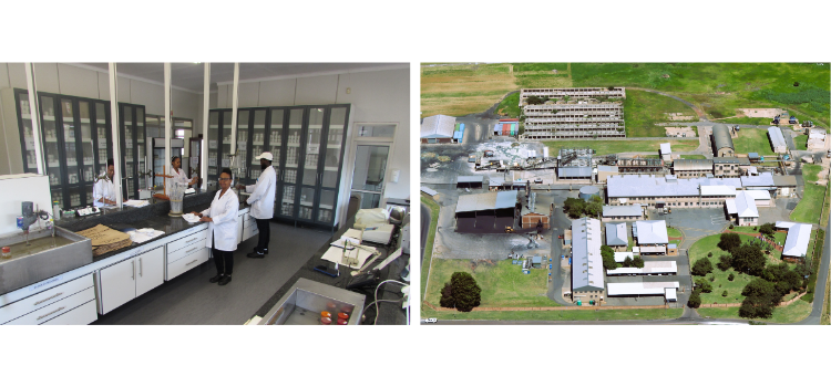 Laboratory inside (left), Building from above (right)