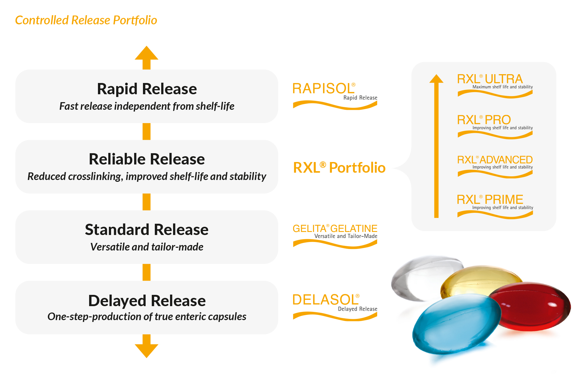 Graphic of GELITAs Controlled Release Portfolio