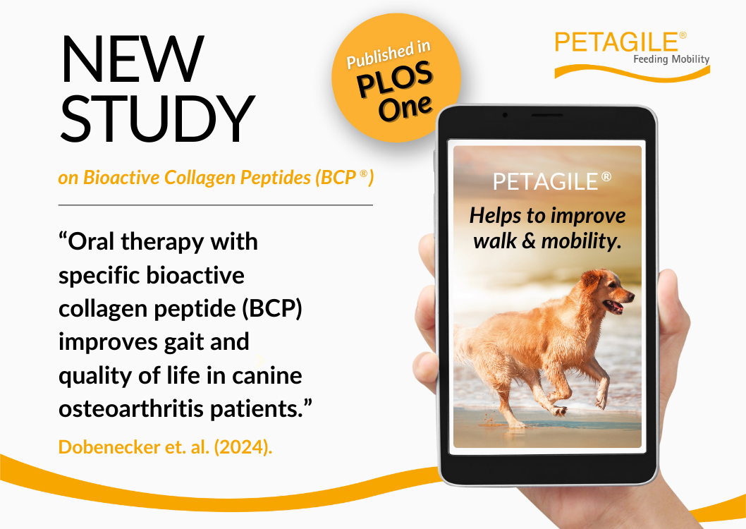 New Study PETAGILE