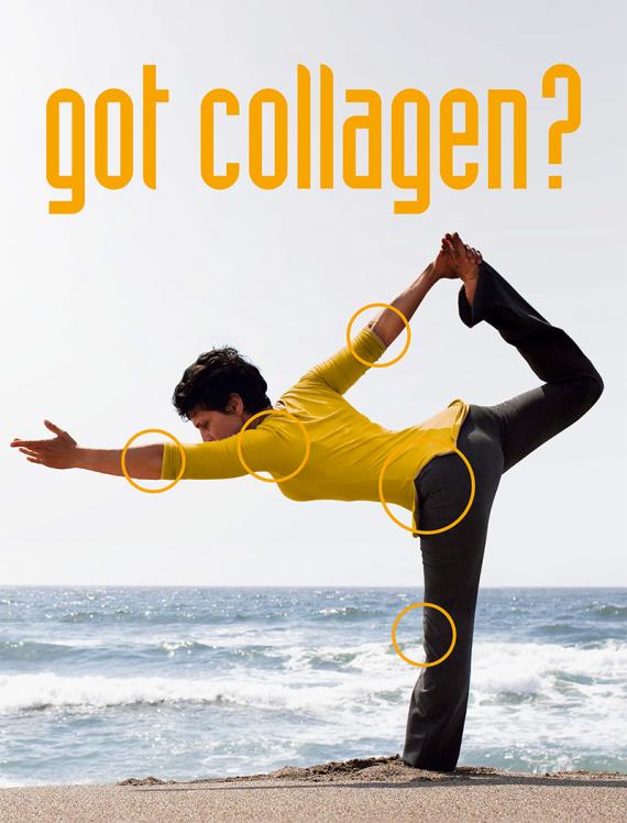 Collagen-ssw17